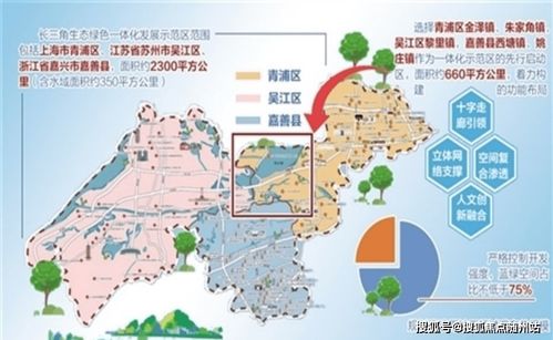 嘉善信息技術(shù)咨詢服務(wù) 專業(yè)一對一，熱情為您解答